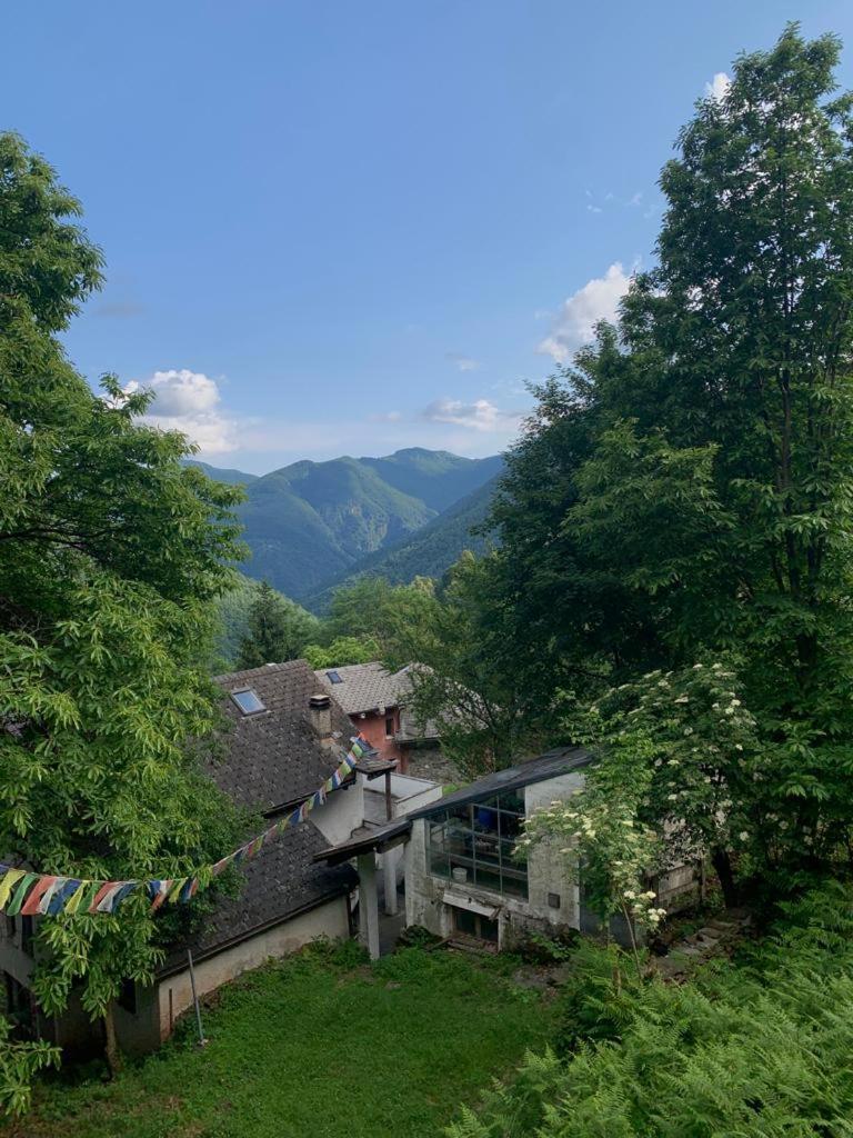Secret Mountain Retreat Valle Cannobina Orasso Kültér fotó