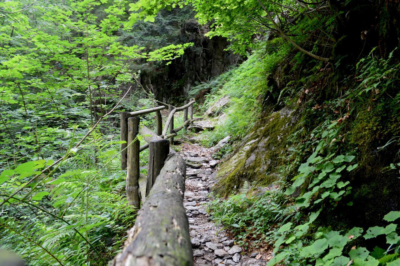 Secret Mountain Retreat Valle Cannobina Orasso Kültér fotó